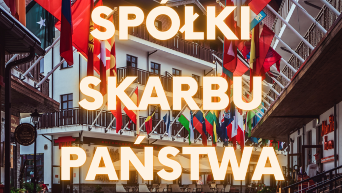 inwestowanie w spółki skarbu państwa